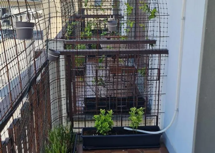 Sopra Le Poste ארצו